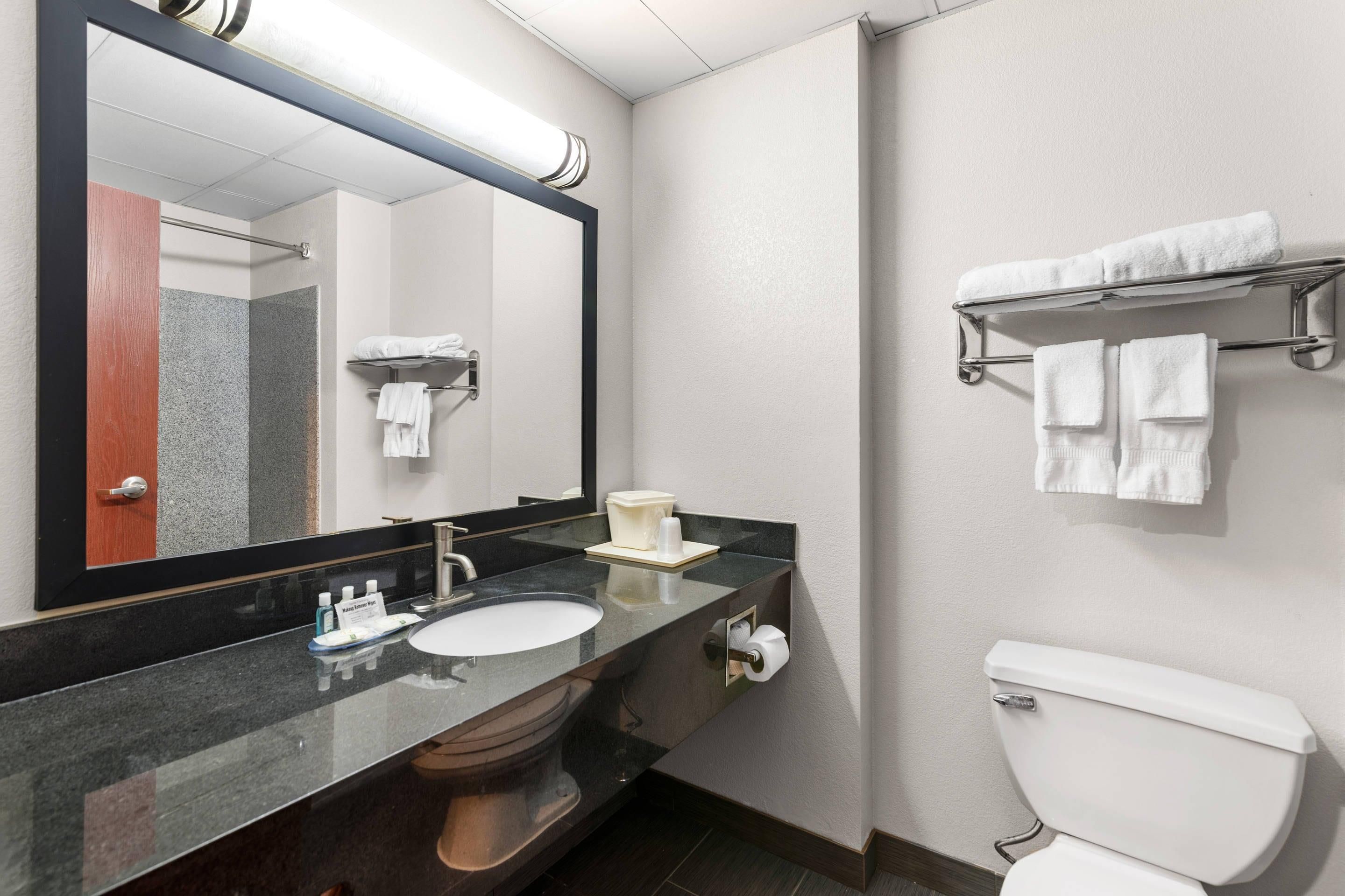 Une salle de bain moderne avec un grand miroir, un lavabo, des toilettes et un porte-serviettes.