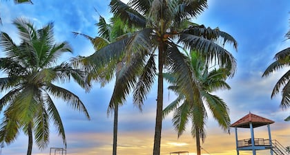 Estuary Sarovar Premiere , Poovar Island