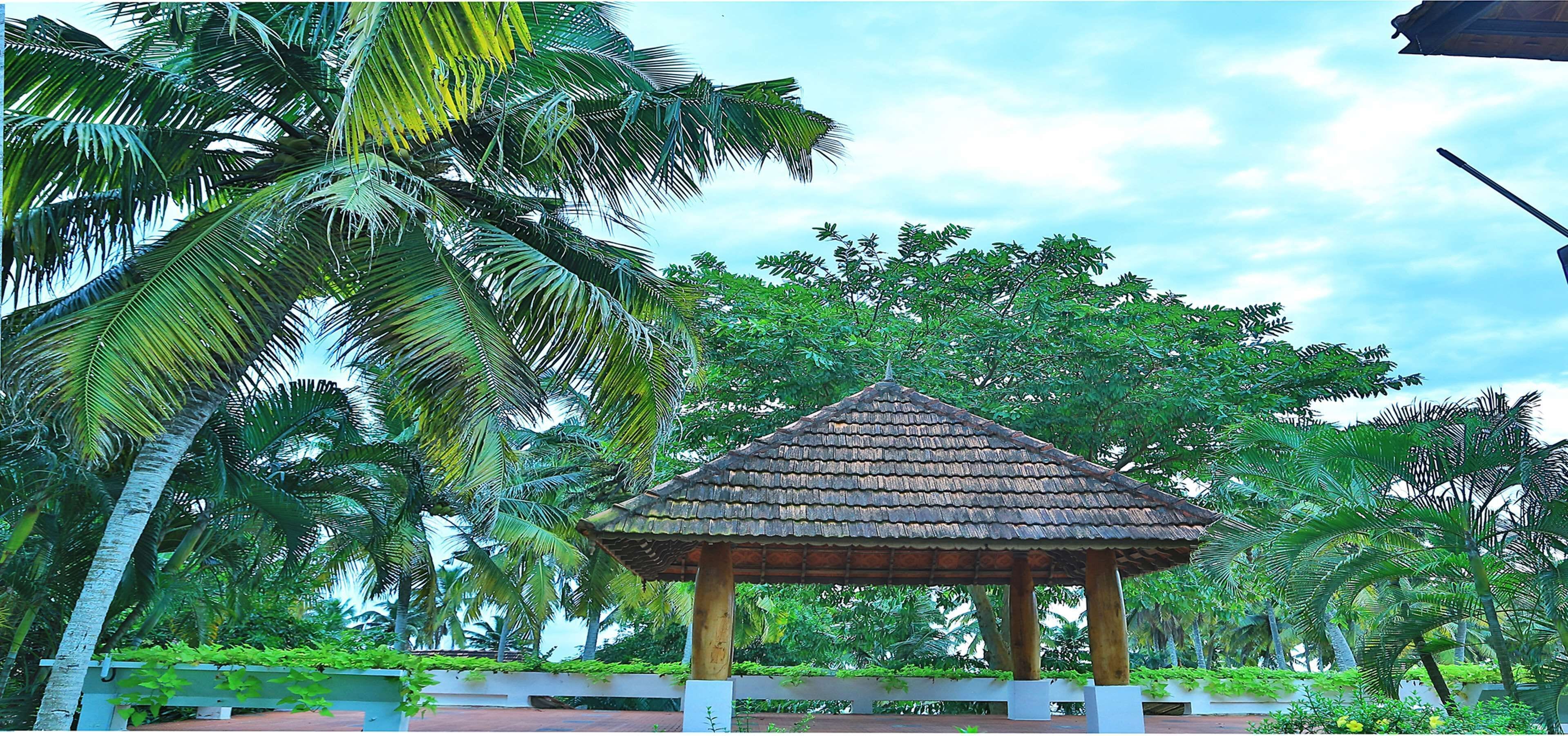 A gazebo with a tiled roof, surrounded by lush greenery and palm trees.
