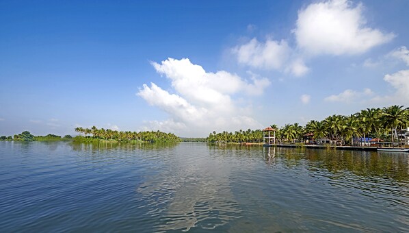 A calm water body with a row of palm trees and a gazebo on the shore.