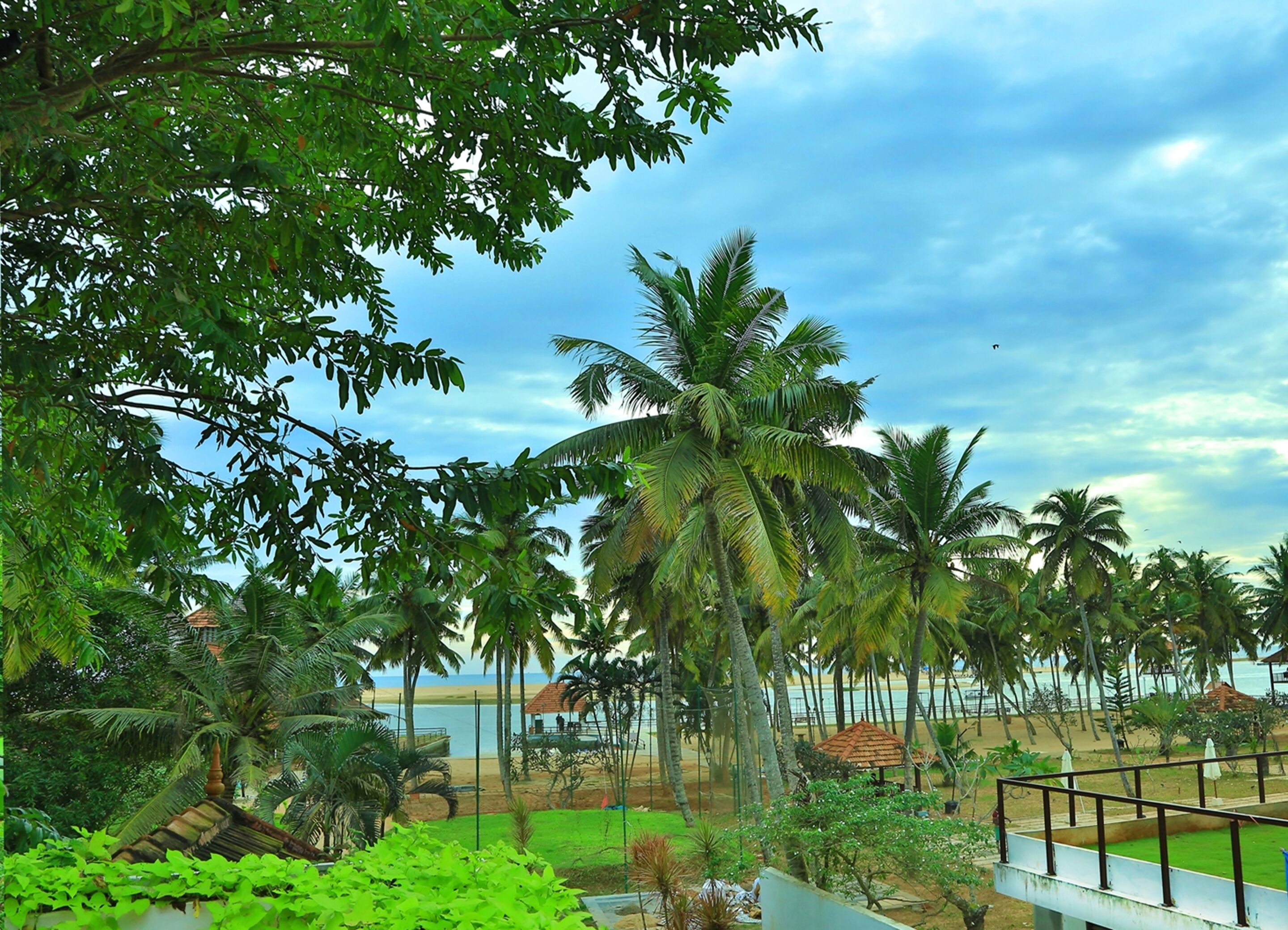 A beach view with palm trees, a sandy shore, and a building with a thatched roof.