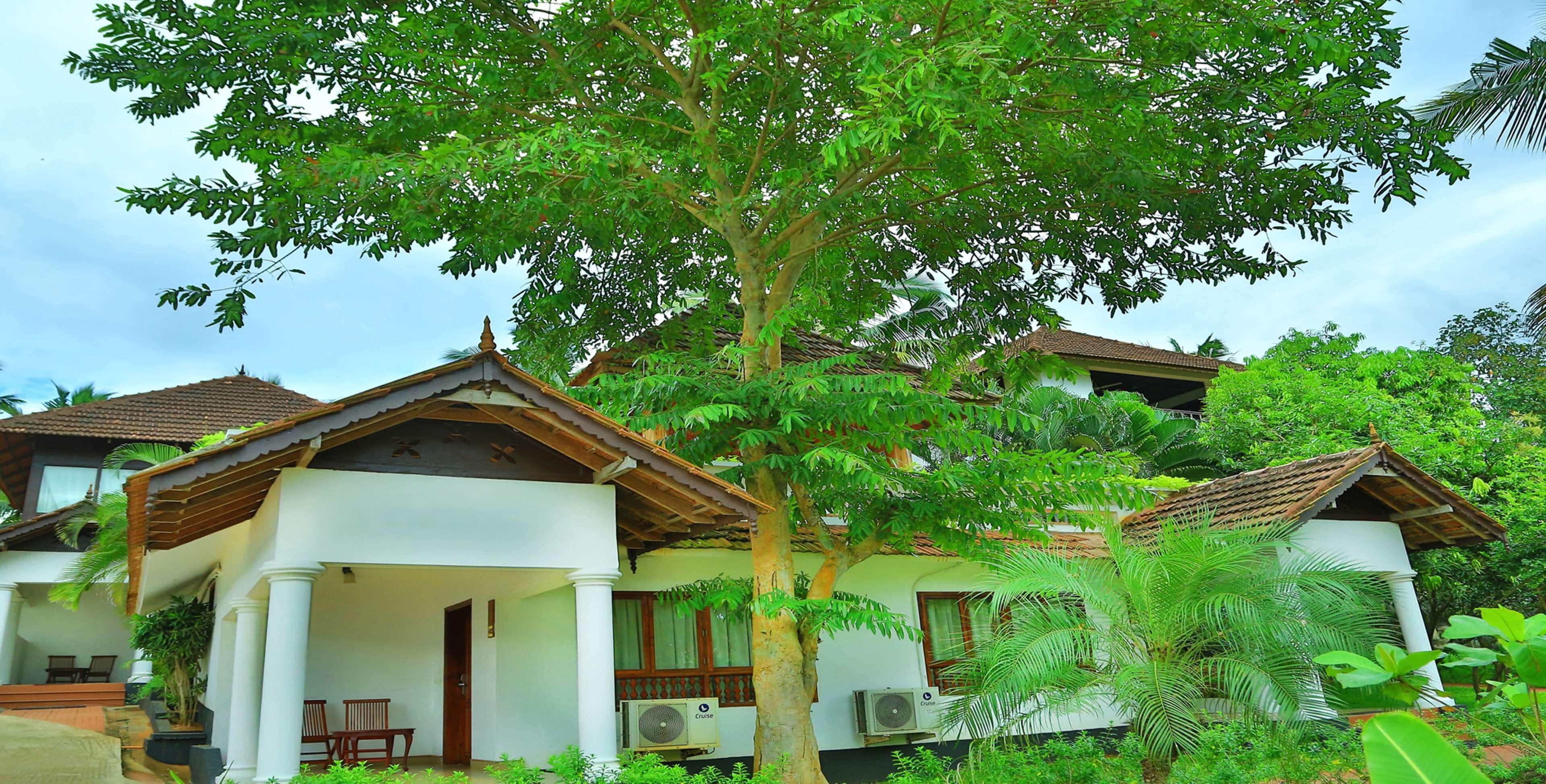 A traditional house with a porch, columns, and a large tree in front.