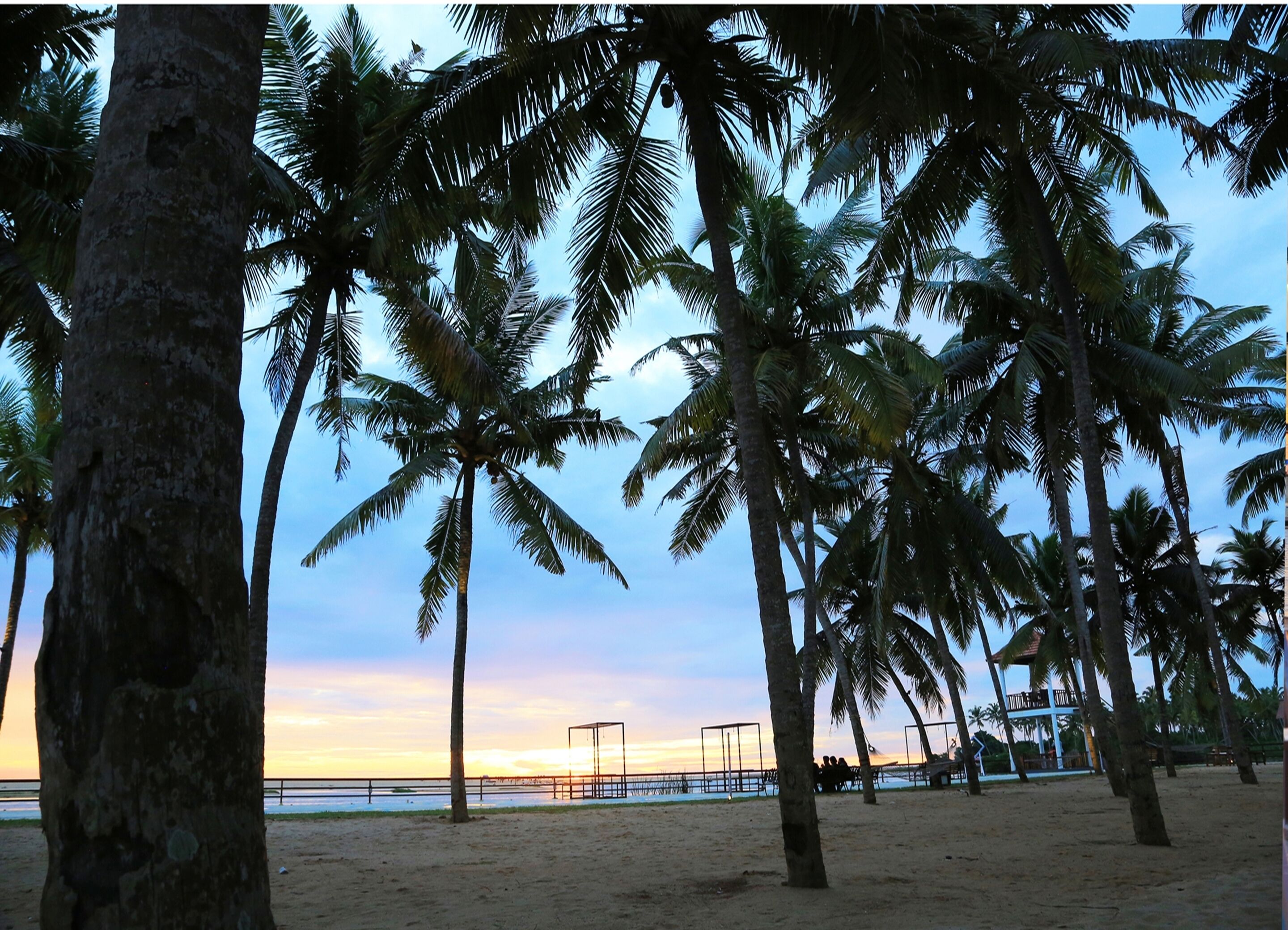 Beach nearby, white sand, free beach shuttle, sun loungers