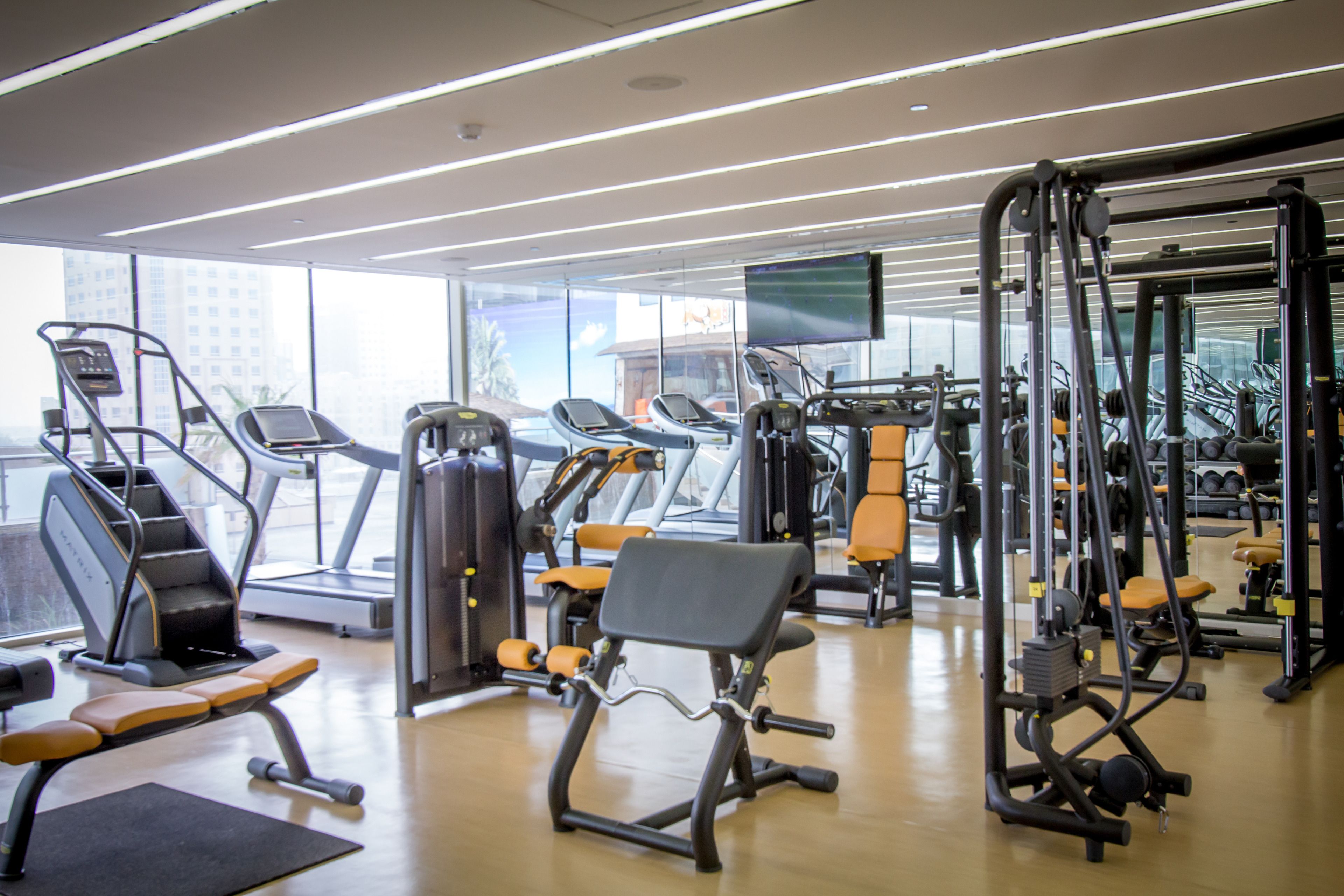 Un gimnasio con cintas de correr, máquinas de pesas y bancos.