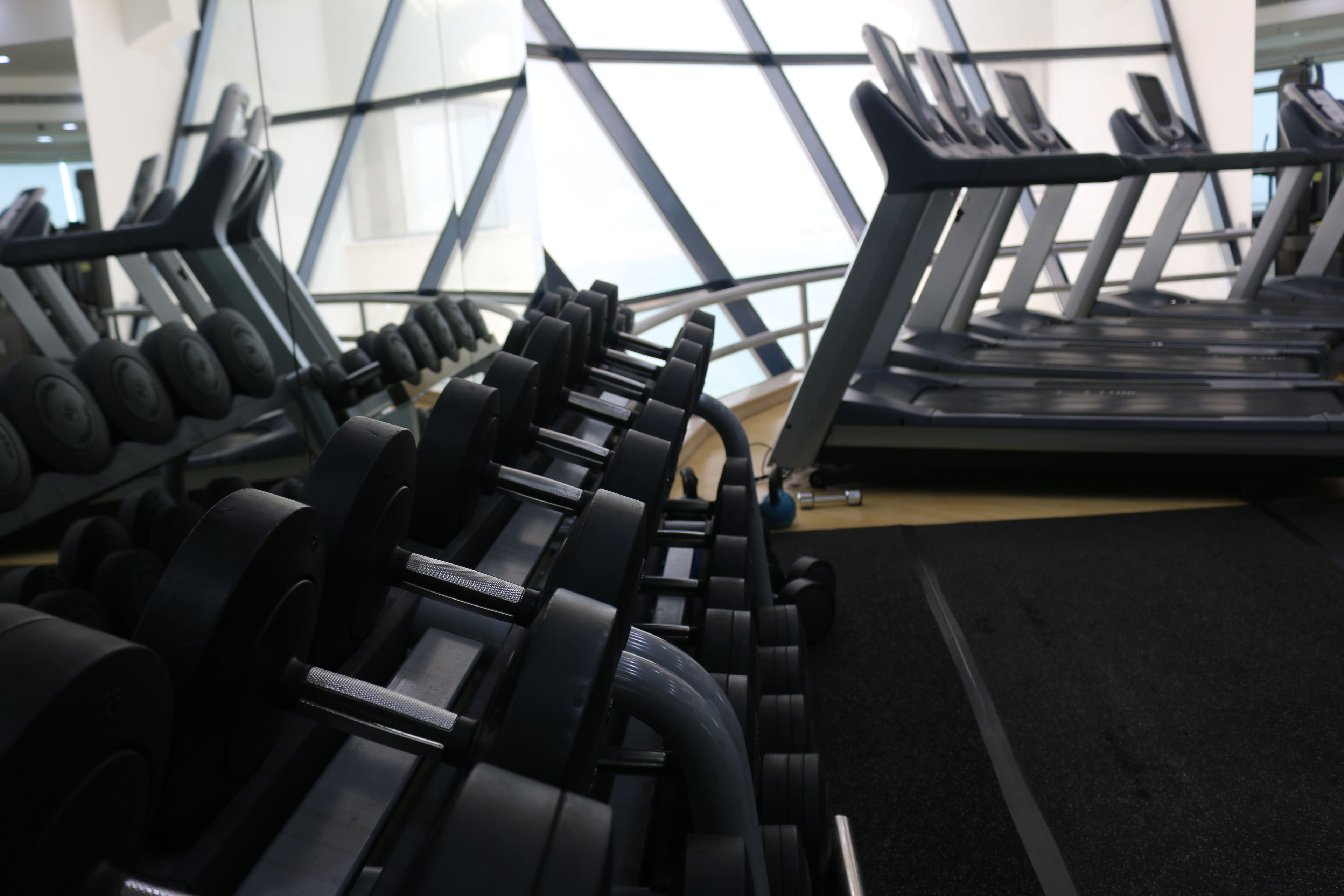 A gym with treadmills, dumbbells, and weight plates.