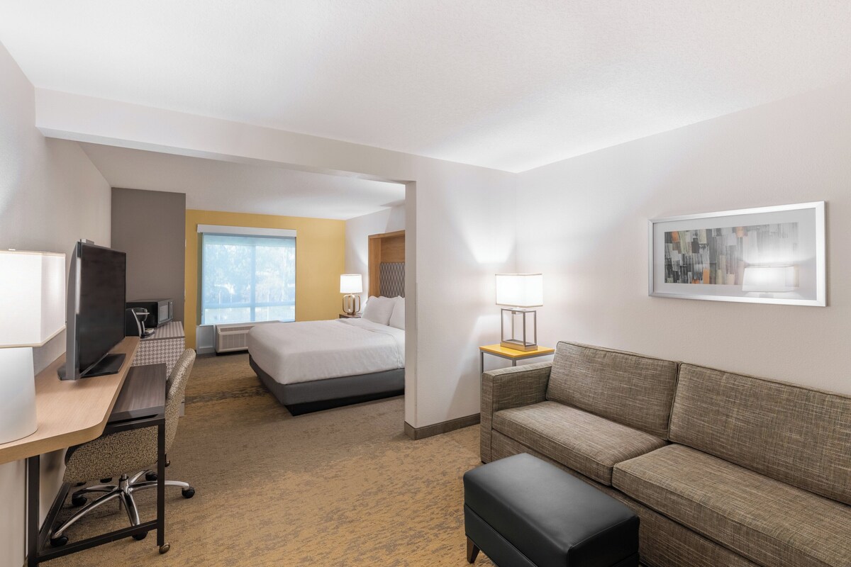 Een hotelkamer met een bed, een bureau met een computer, een televisie, een bank en een lamp.