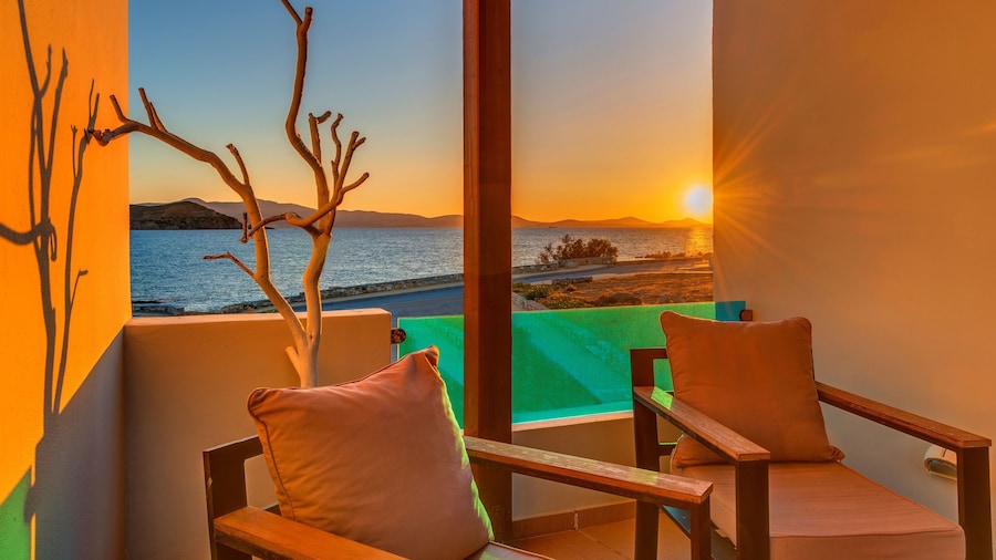 尼萨基海滩酒店