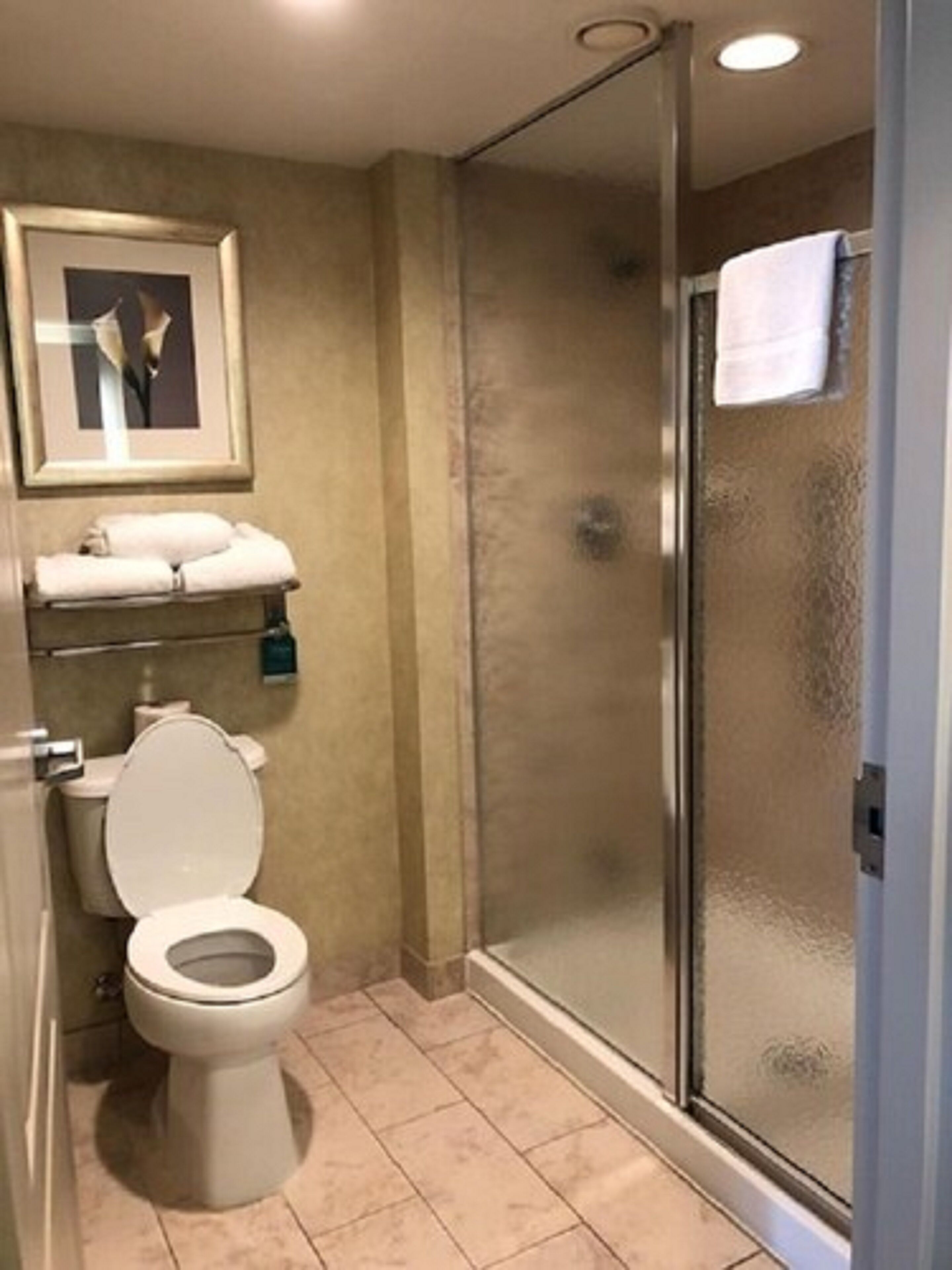 A bathroom with a toilet, a framed picture, a towel rack, and a glass shower enclosure.