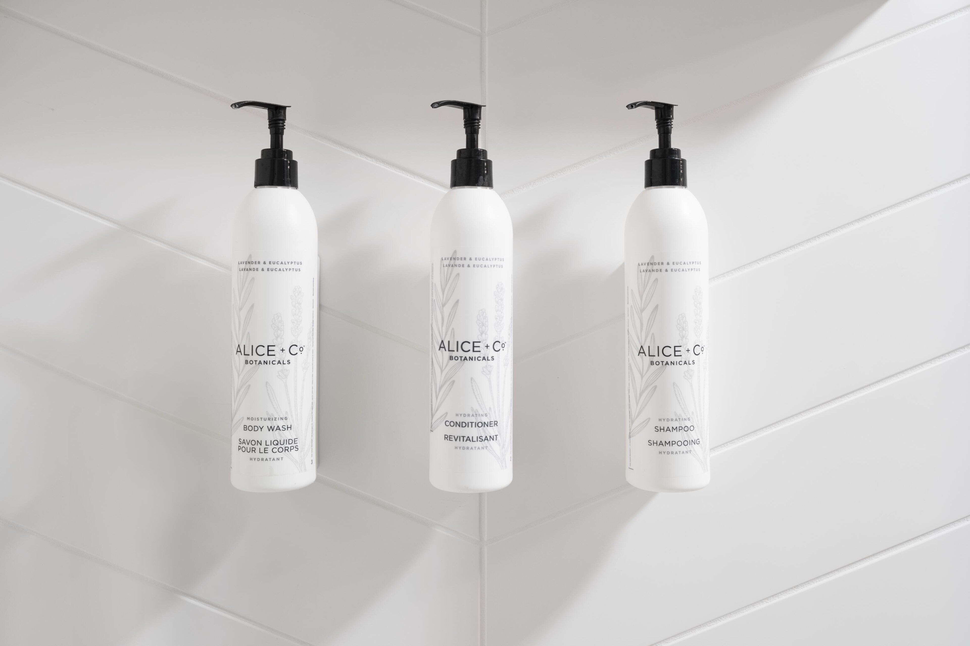 combined shower/bathtub, free toiletries, hair dryer, towels