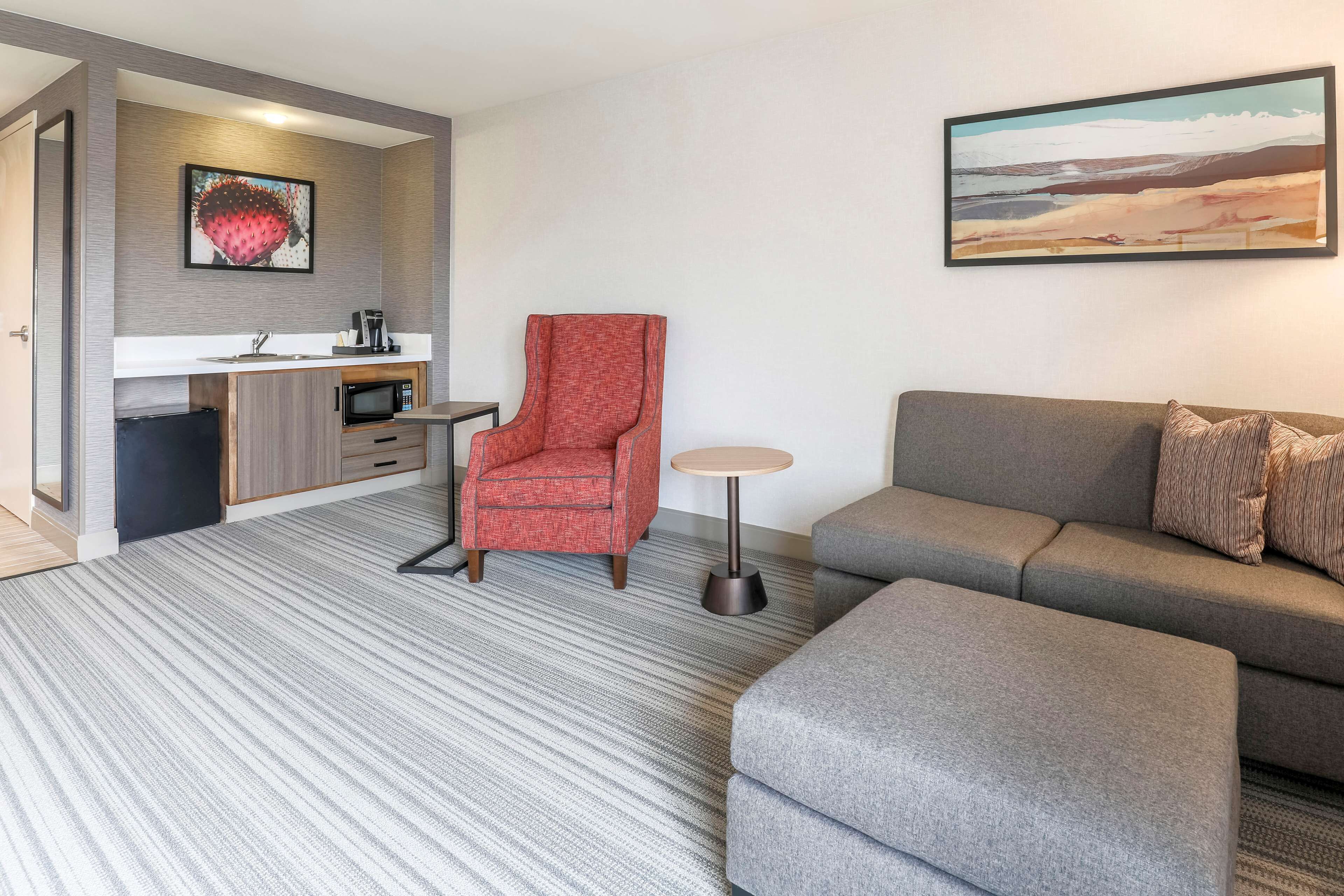 suite, 1 bedroom | minibar