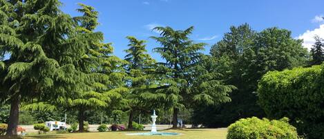 A well-maintained garden with a fountain, various trees, and neatly trimmed bushes.