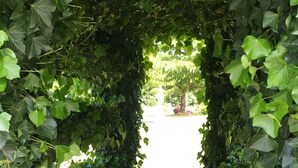 An archway of dense green foliage leading to a paved path. - Fuller Lake Motel (Chemainus)