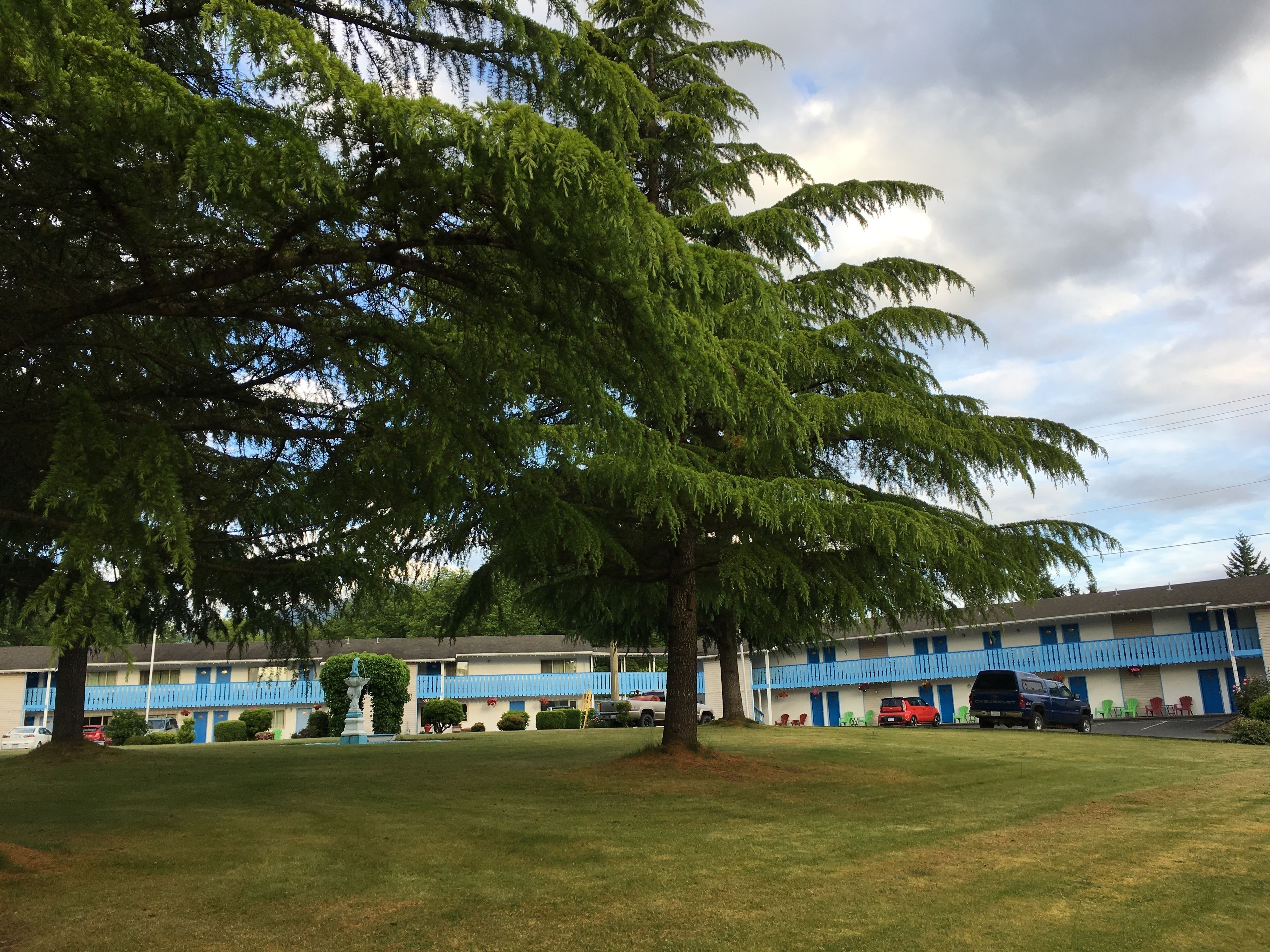 A motel with a large tree in front, a parking lot, and a building with blue awnings.