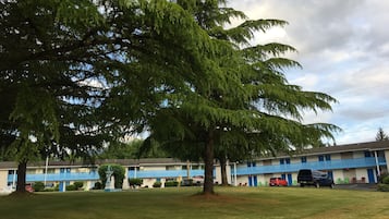 A motel with a large tree in front, a parking lot, and a building with blue awnings.