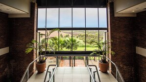 Ảnh chưa phân loại, 3 trong số 67 ảnh, nút