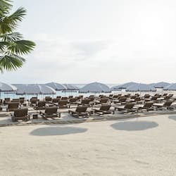 Relax on our beachside loungers, shaded by large umbrellas, with a serene view of the ocean and palm trees.