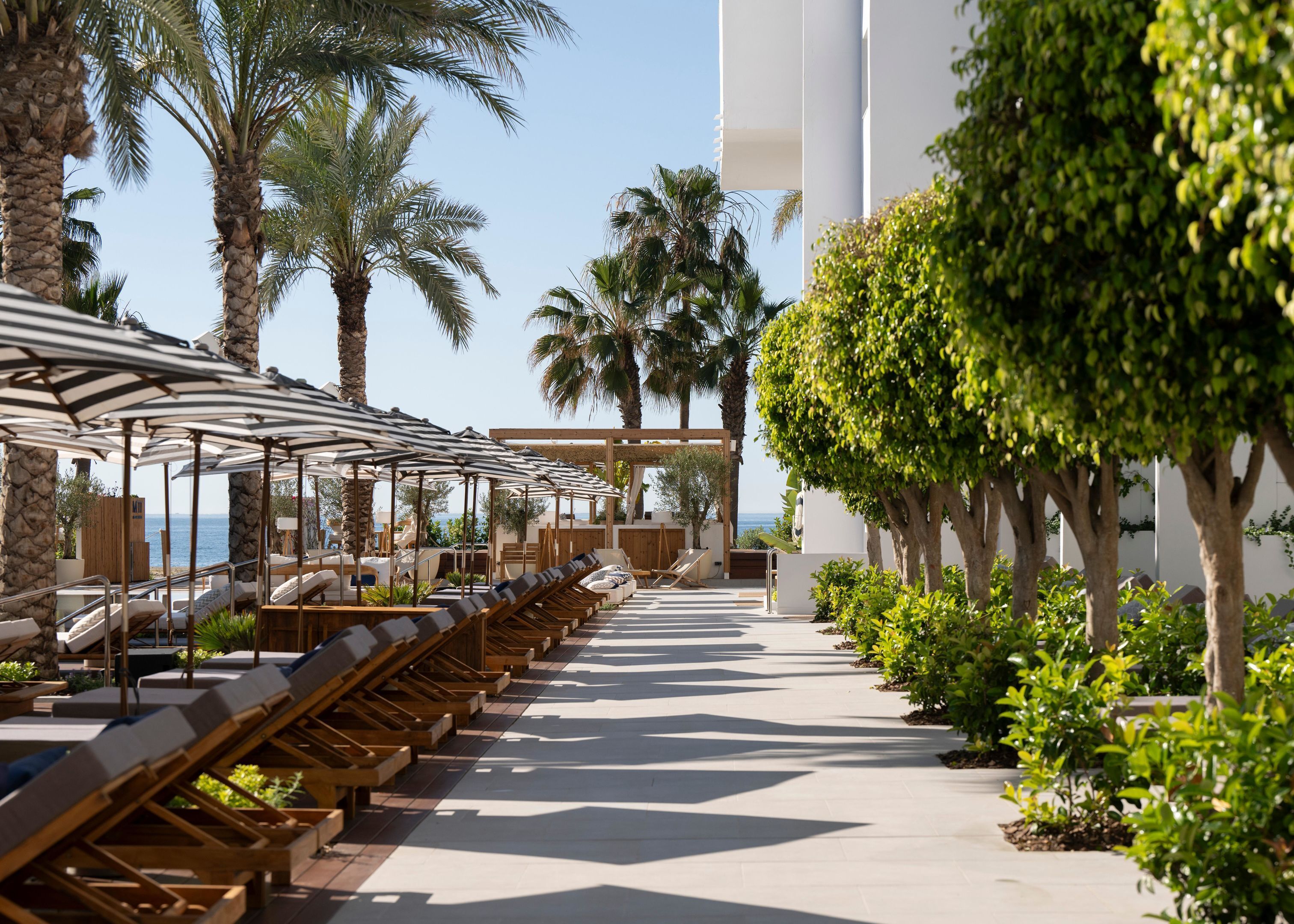 Un espace de détente extérieur, baigné de soleil, avec des chaises longues en bois et des parasols à rayures, des palmiers et une vue sur la mer.