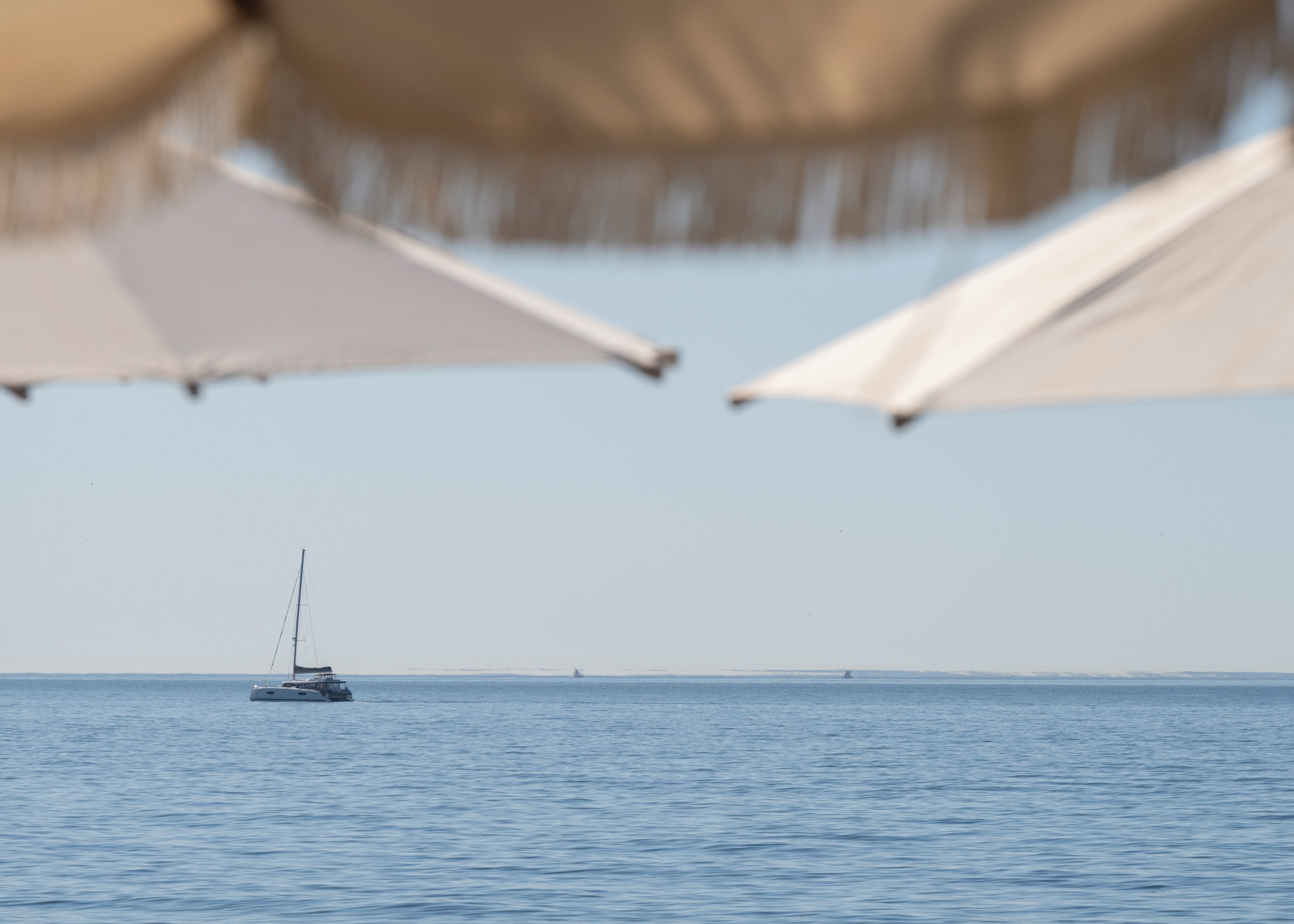 Foto - METT Marbella Estepona