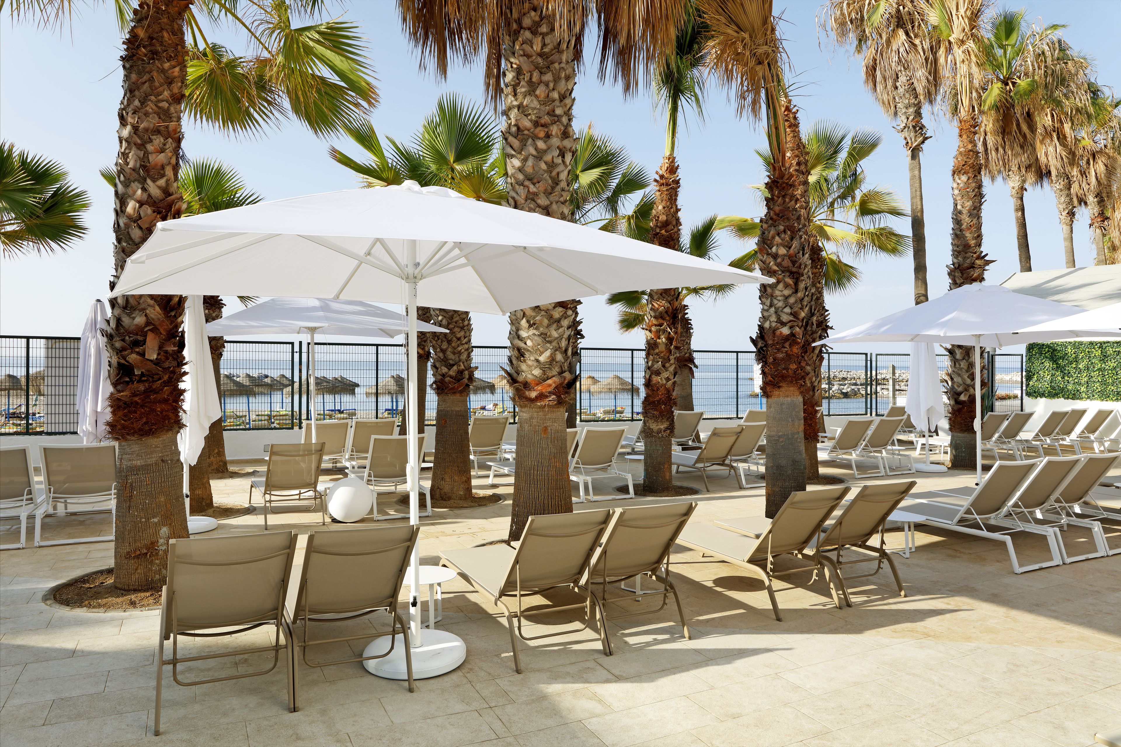 A sunlit outdoor lounge area with rows of beige lounge chairs and white umbrellas, surrounded by tall palm trees.