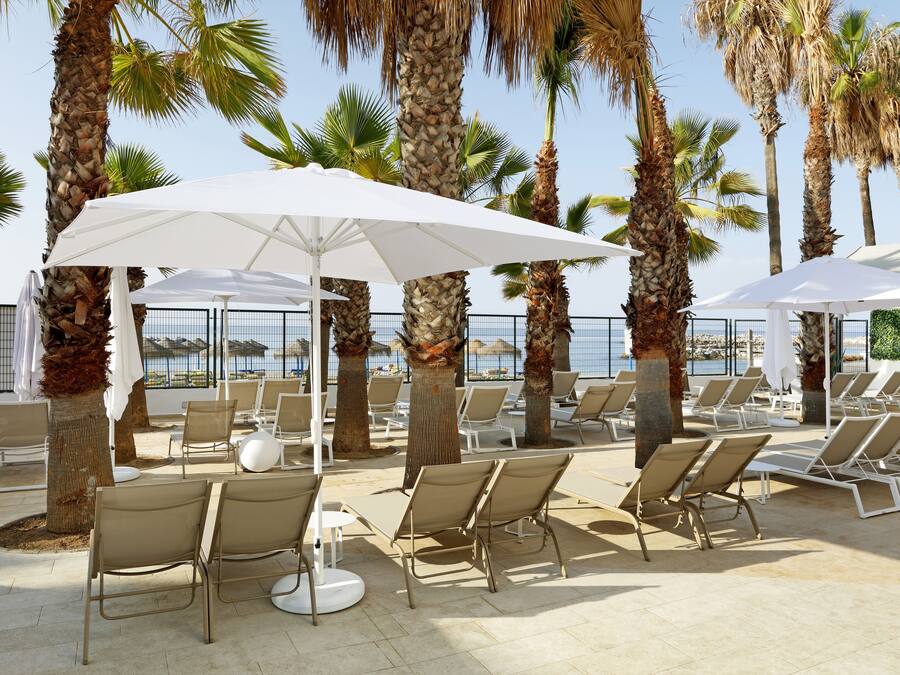 Un espace de détente extérieur, baigné de soleil, avec des rangées de chaises longues beiges et de parasols blancs, le tout entouré de grands palmiers.