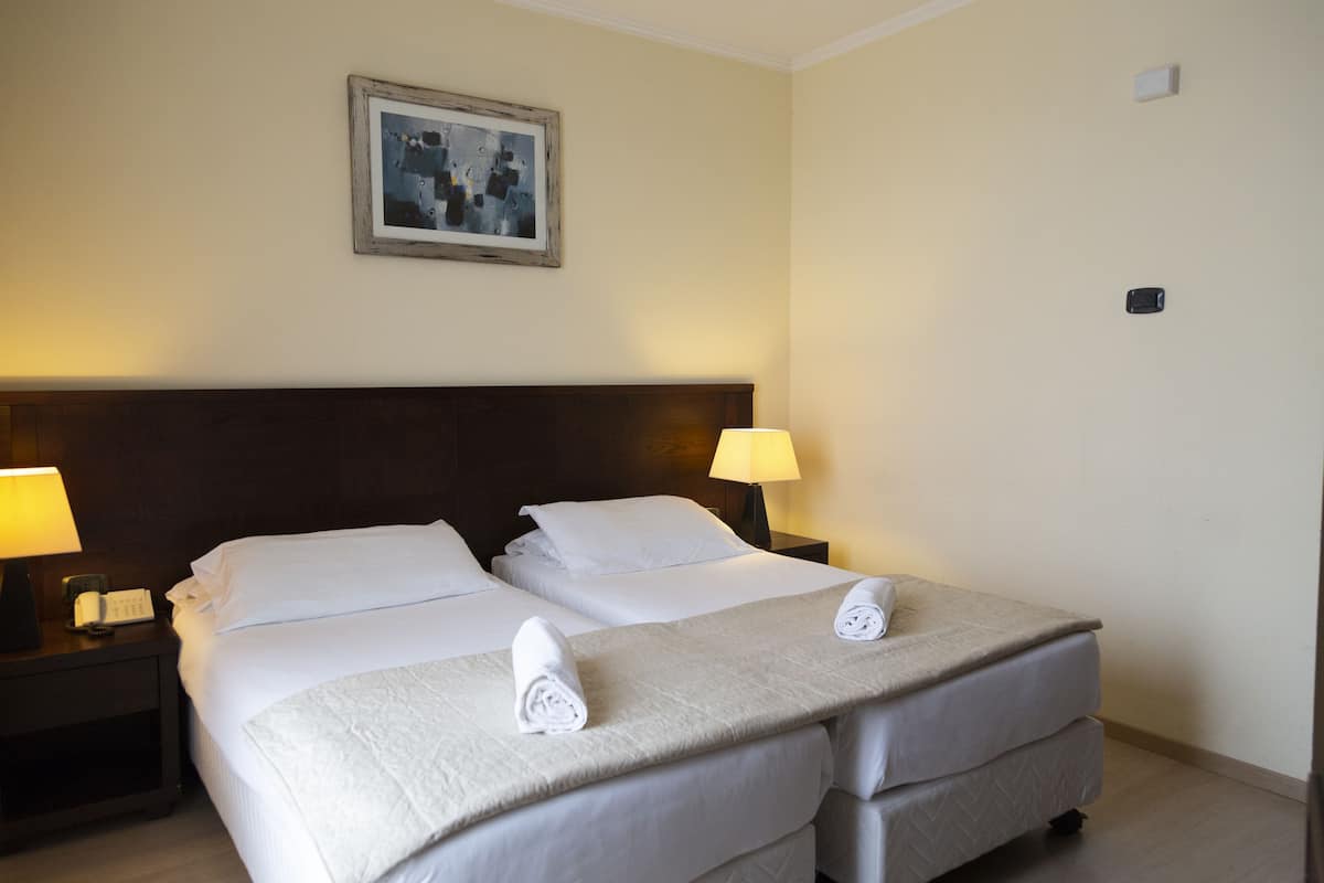 Standaard Twin kamer, 2 eenpersoonsbedden | Een minibar, een kluis op de kamer, verduisterende gordijnen