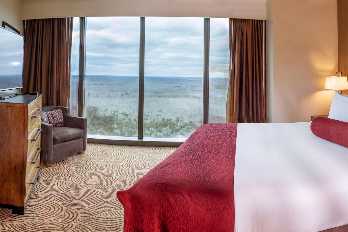A hotel room with a large bed, a desk, a chair, and a view of the landscape through large windows.