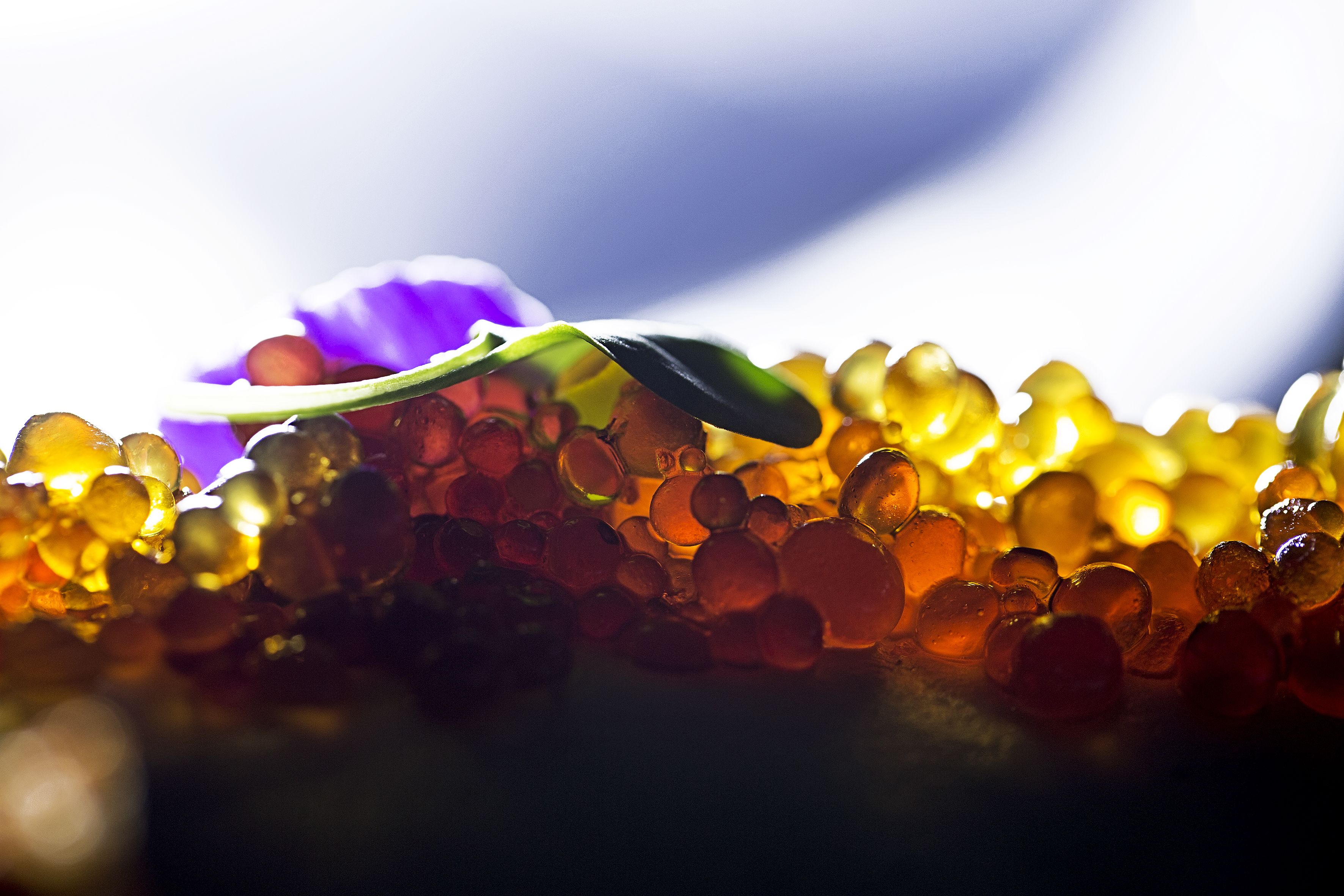 Un gros plan de perles de verre colorées, avec une fleur violette au premier plan.