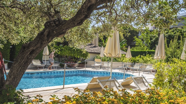 A pool area with lounge chairs and umbrellas, surrounded by greenery and a large tree. - Hotel Villa Daphne (Giardini Naxos)
