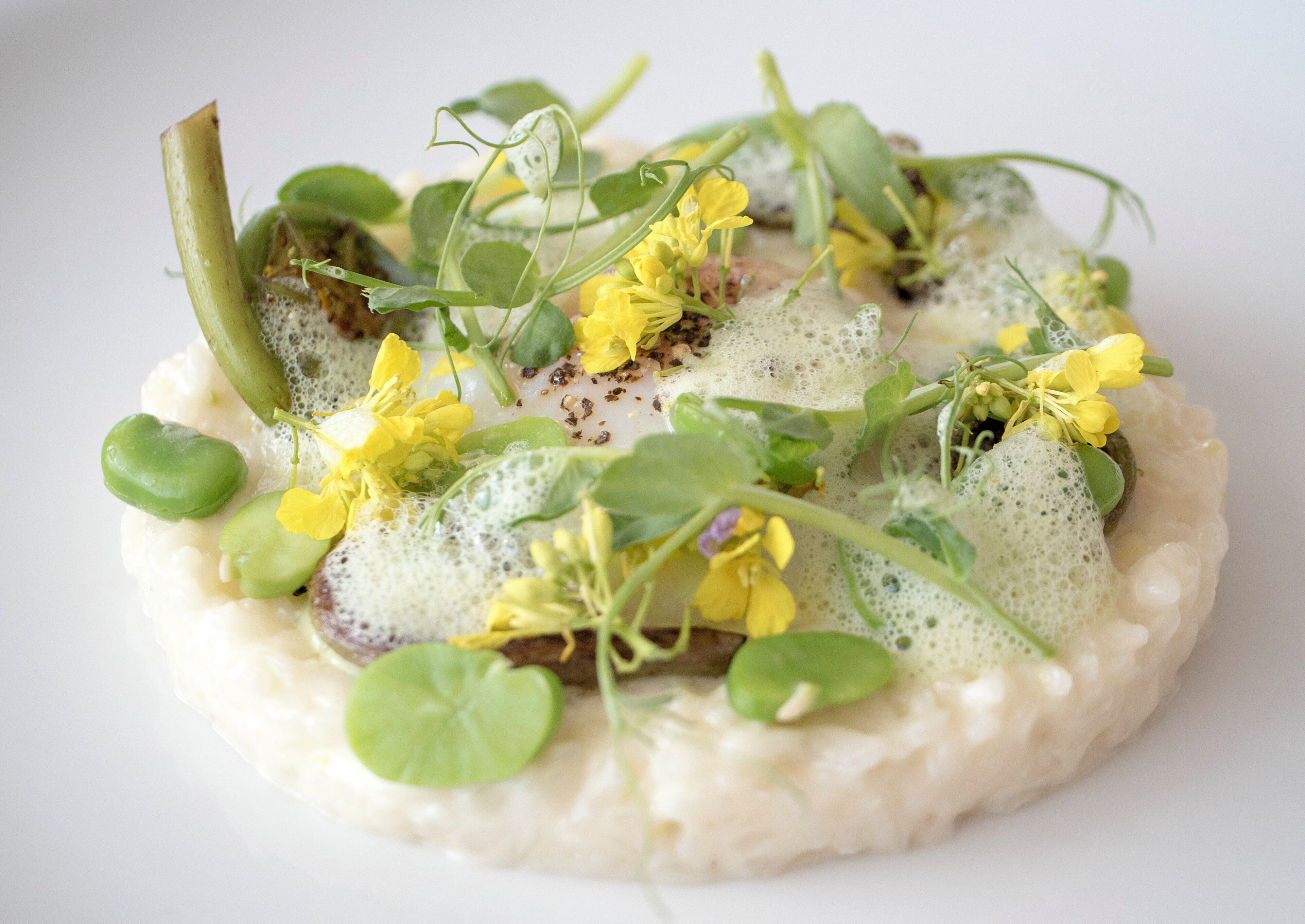 A plate of food with a creamy base, garnished with green leaves and yellow flowers.