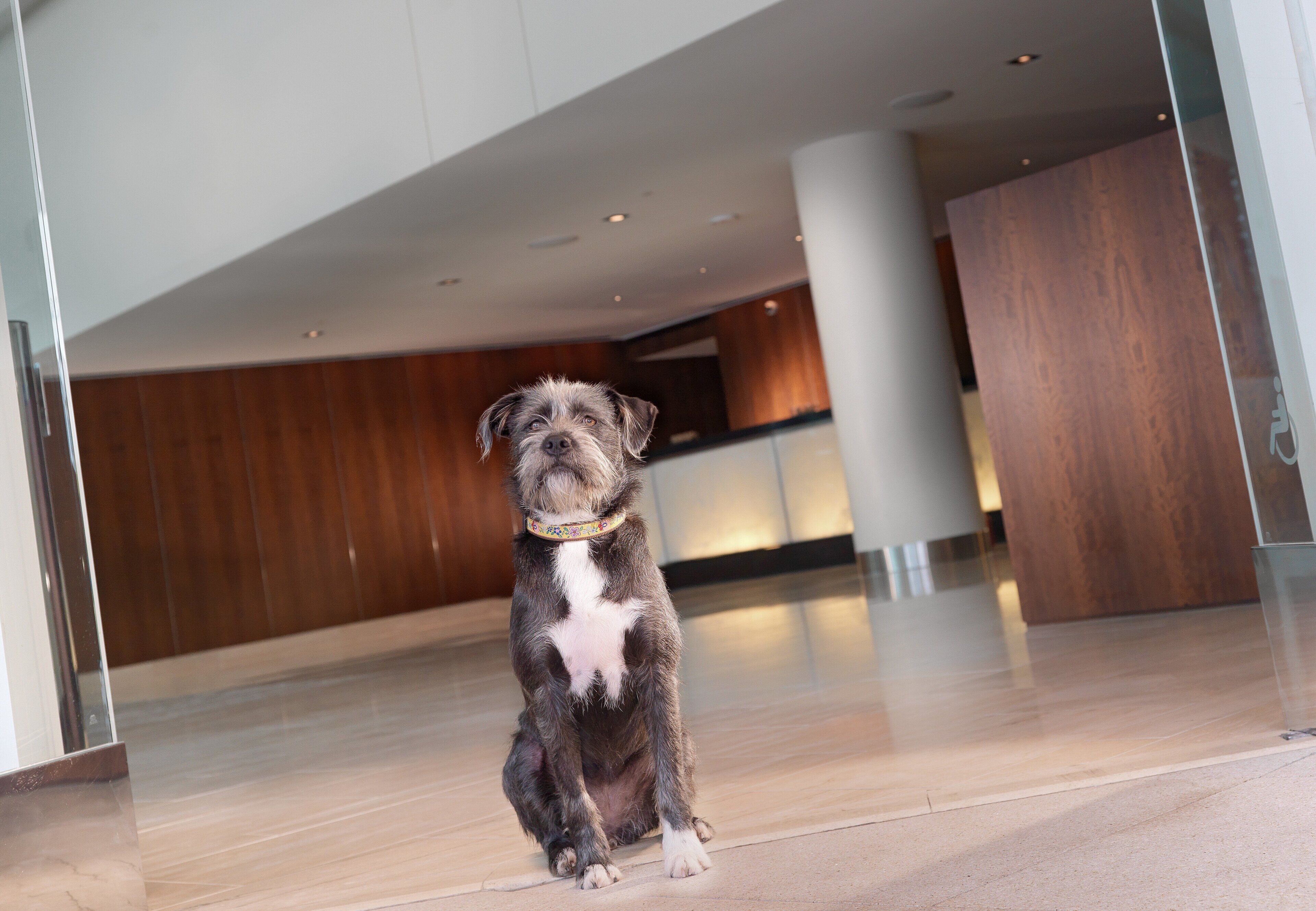 Photo - InterContinental San Francisco by IHG