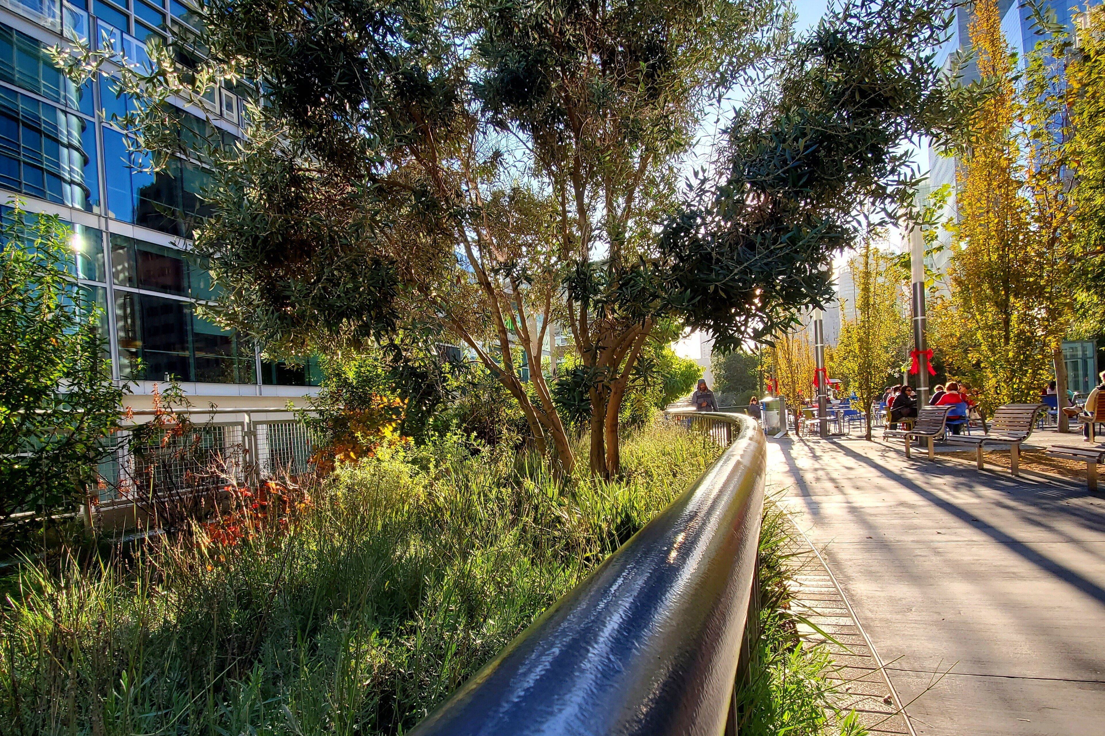 A pathway lined with trees and benches, with modern buildings on one side.
