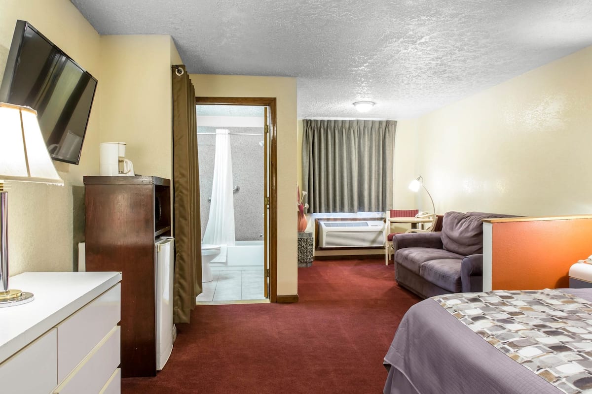 A hotel room with a bed, a desk, a television, a shower, and a view of the outside.