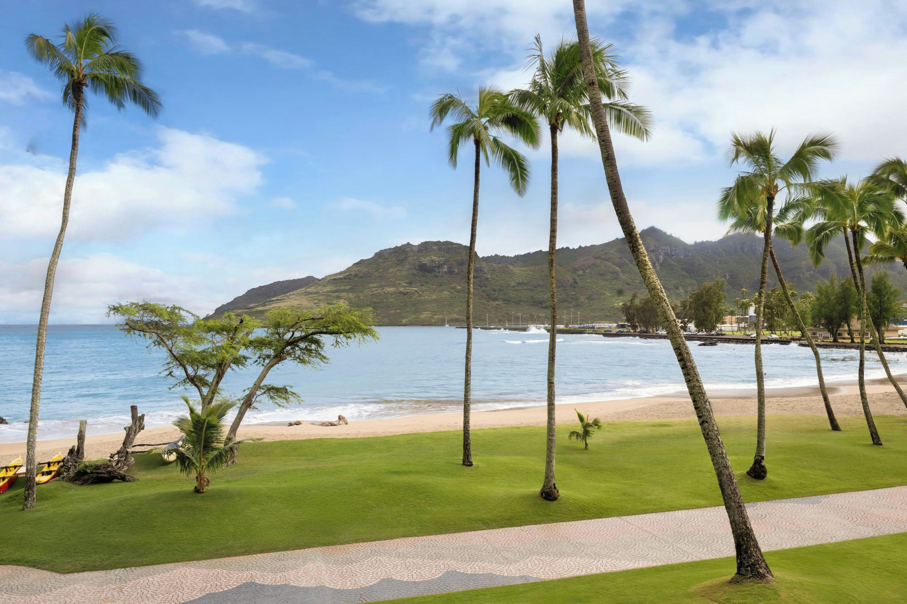 A beach with palm trees and a mountain in the background.
