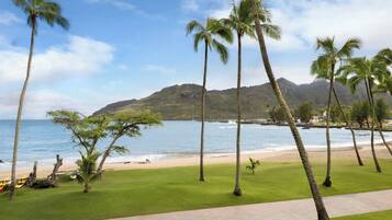 A beach with palm trees and a mountain in the background.