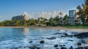 A beachfront hotel with a pool, palm trees, and a beach.