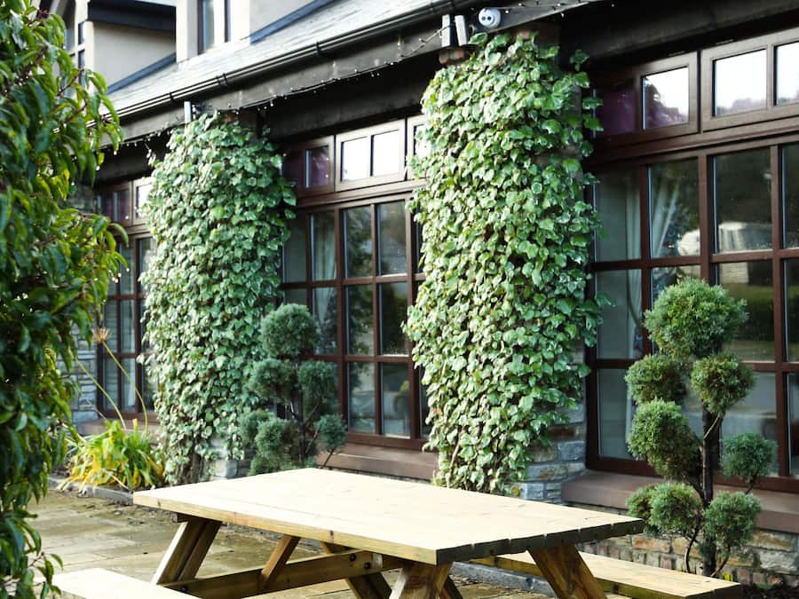 Une table de pique-nique en bois se trouve devant un bâtiment doté de grandes fenêtres et bordé d’une zone pavée de pierres.