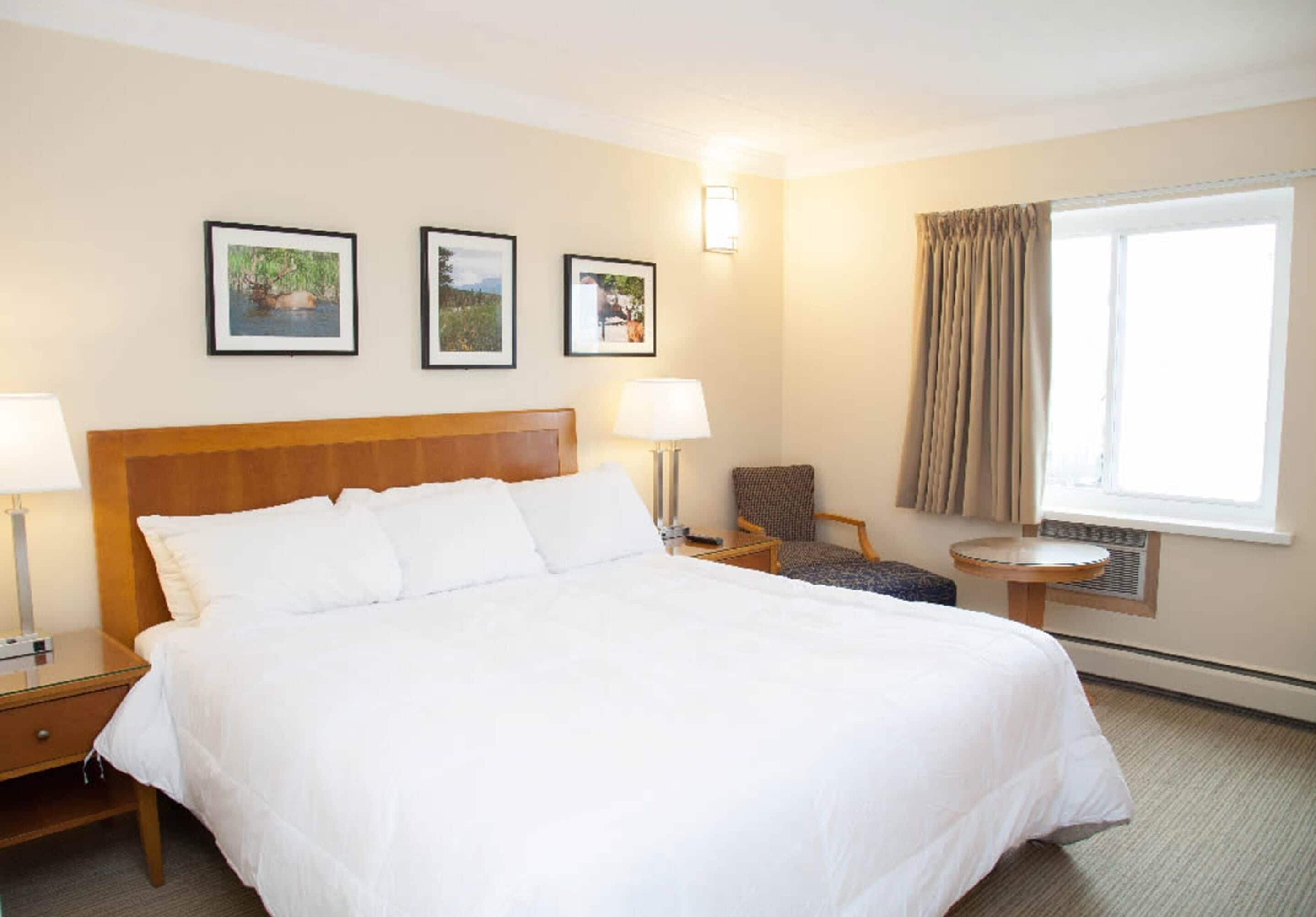 standard room, 1 king bed | in-room safe, desk, free wifi, bed sheets