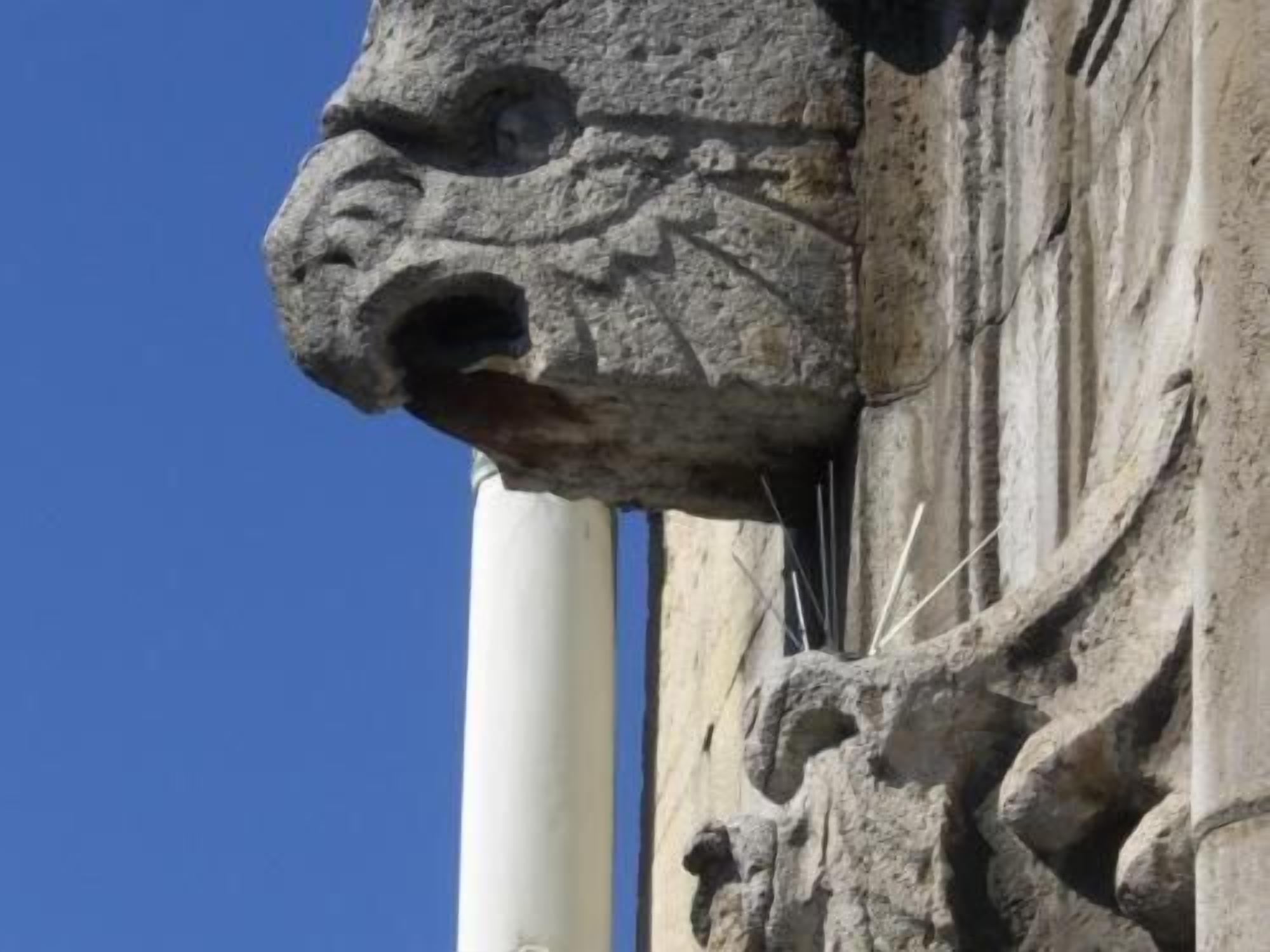 Foto - Hotel Continental