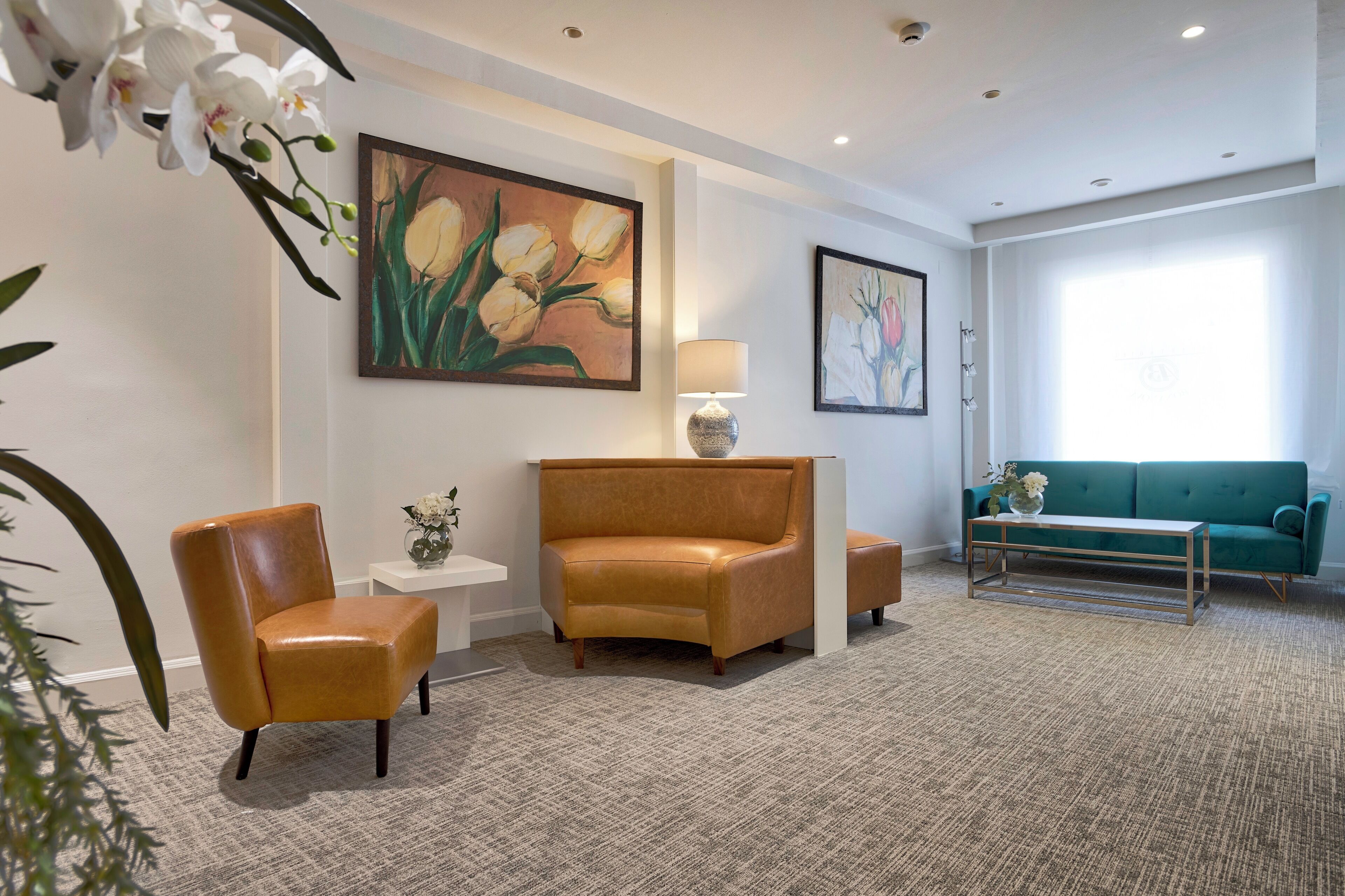 Foto - Bonanova Suite