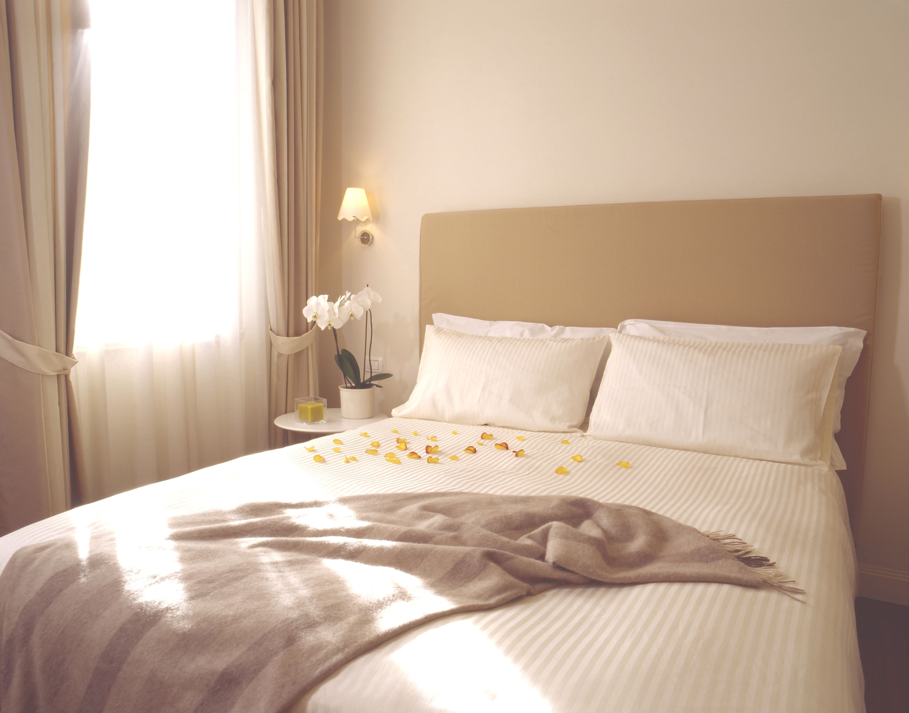 A neatly made bed with white linens and a beige throw blanket, a bedside table with a lamp, and a potted orchid.