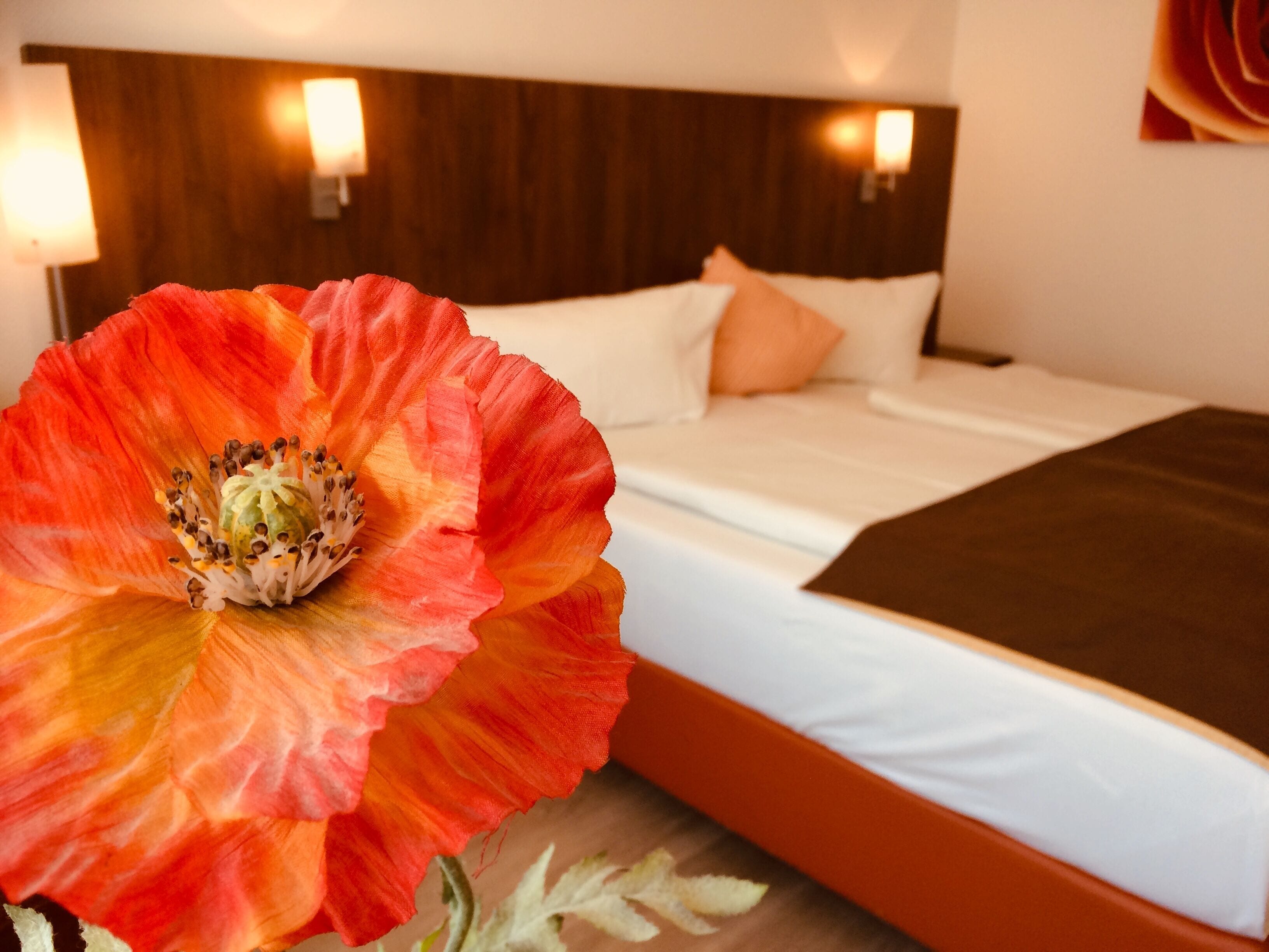 Photo - Hotel Triton