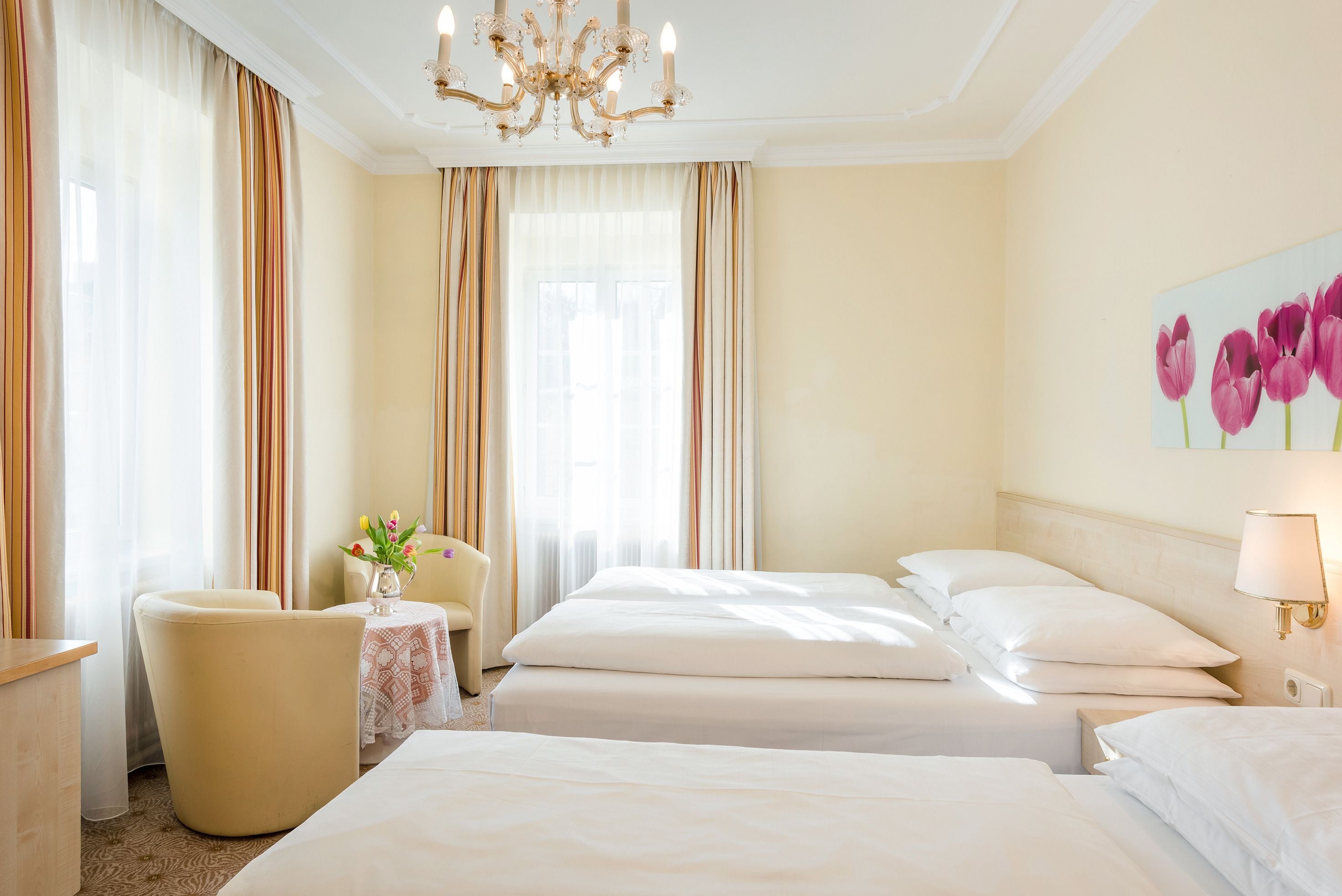 Foto - Hotel Scherer