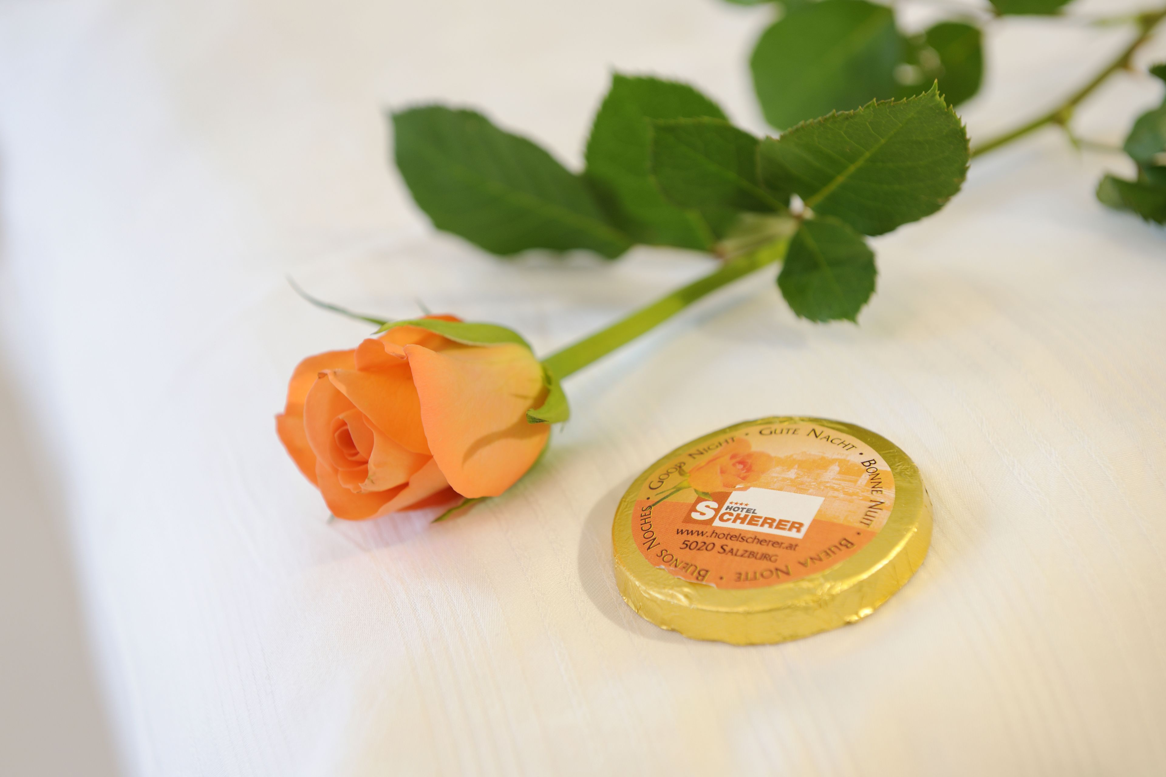 Foto - Hotel Scherer