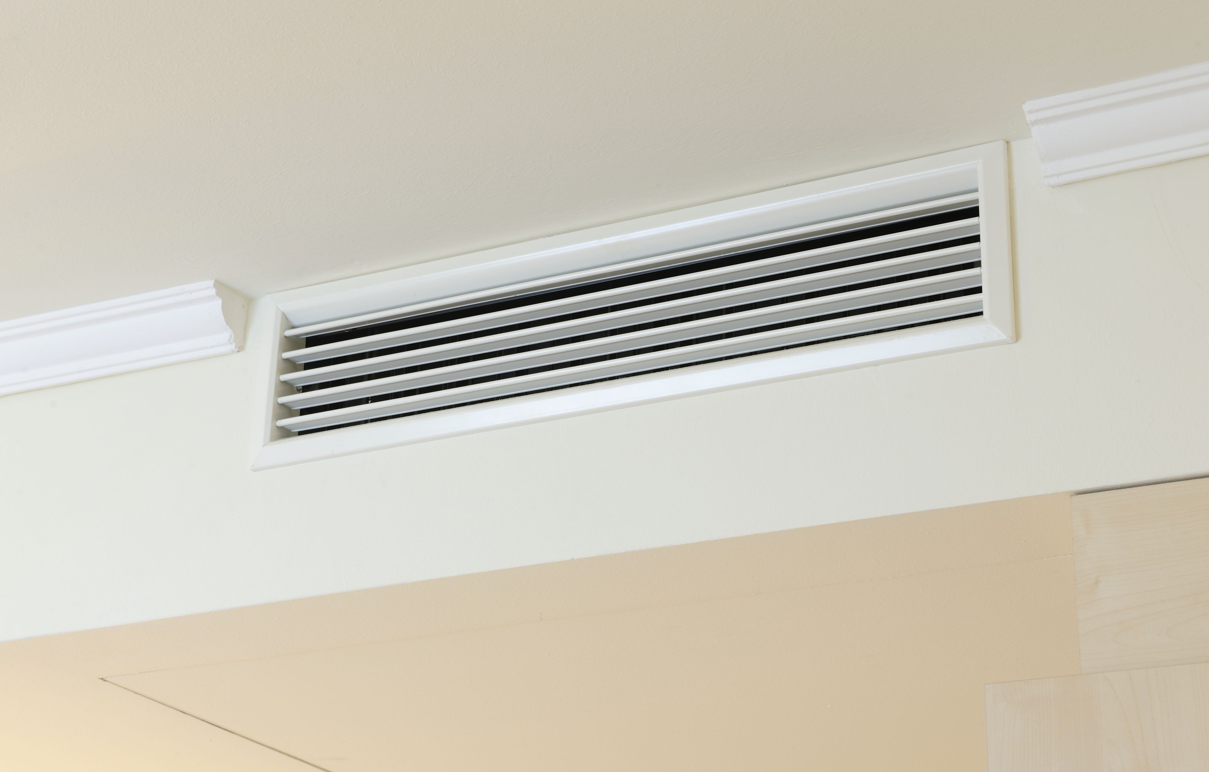 Foto - Hotel Scherer