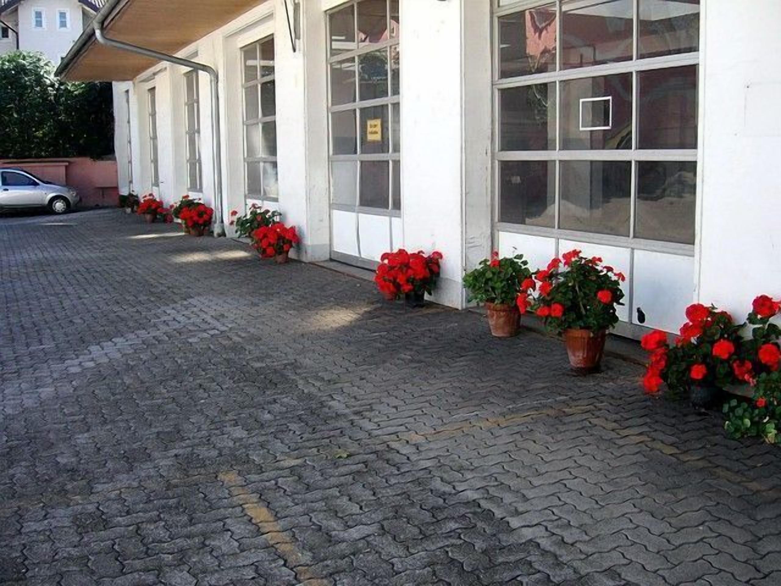 Foto - Hotel Scherer