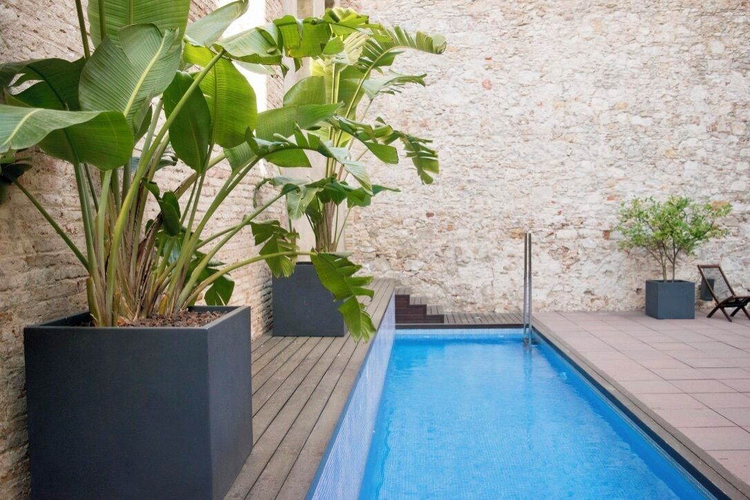 Outdoor pool, pool loungers