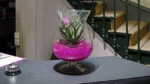 Una escalera con barandillas verdes y un jarrón de cristal transparente con una flor rosa sobre una mesa.