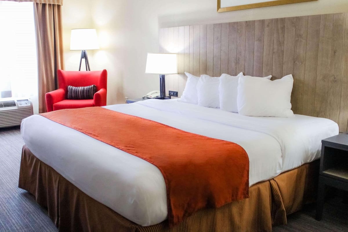 1 bedroom, premium bedding, in-room safe, desk