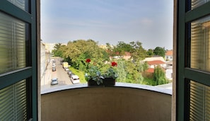 Vista desde la habitación