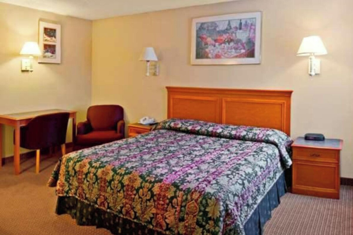 Habitación de hotel con cama, escritorio, silla, mesita de noche y lámpara.